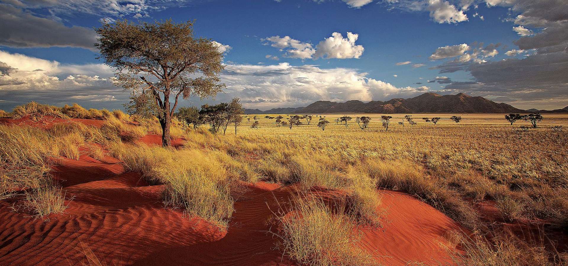 Rundreise durch Namibia