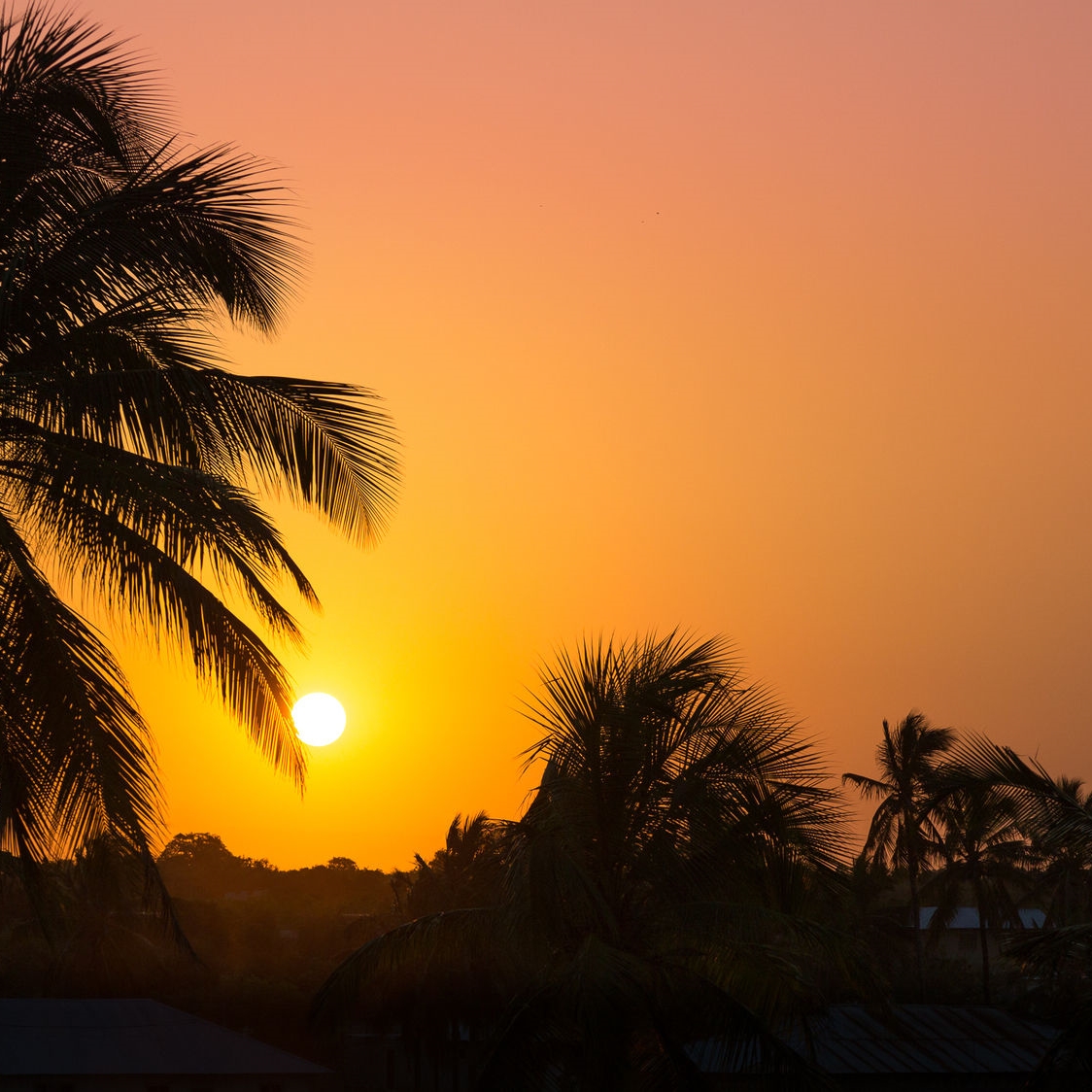 4 Sterne Hotel AHG Waridi Beach Resort & Spa