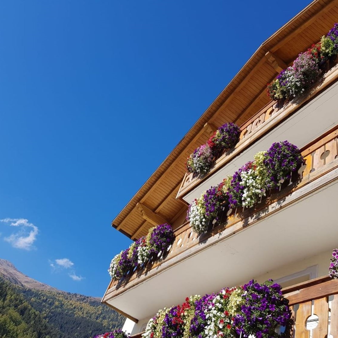 *** Hotel Lamm in St.Valentin auf der Haide