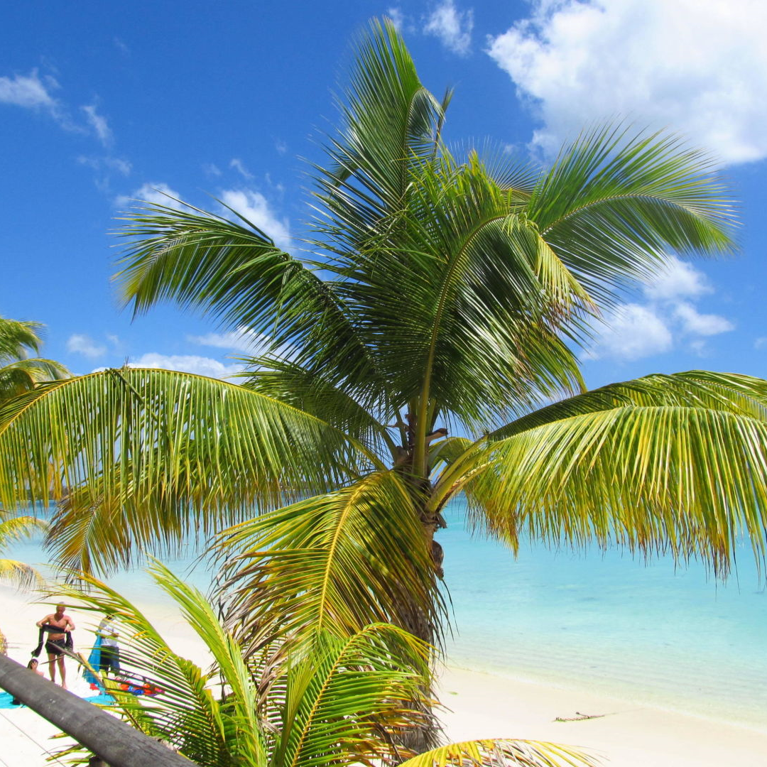 *** Le Palmiste Resort & Spa