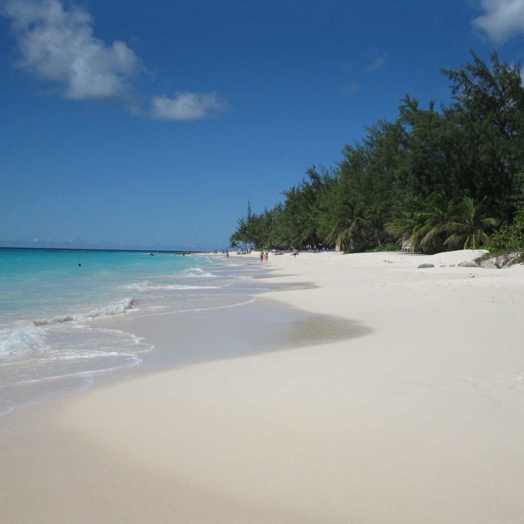 ****Hotel Bougainvillea Barbados