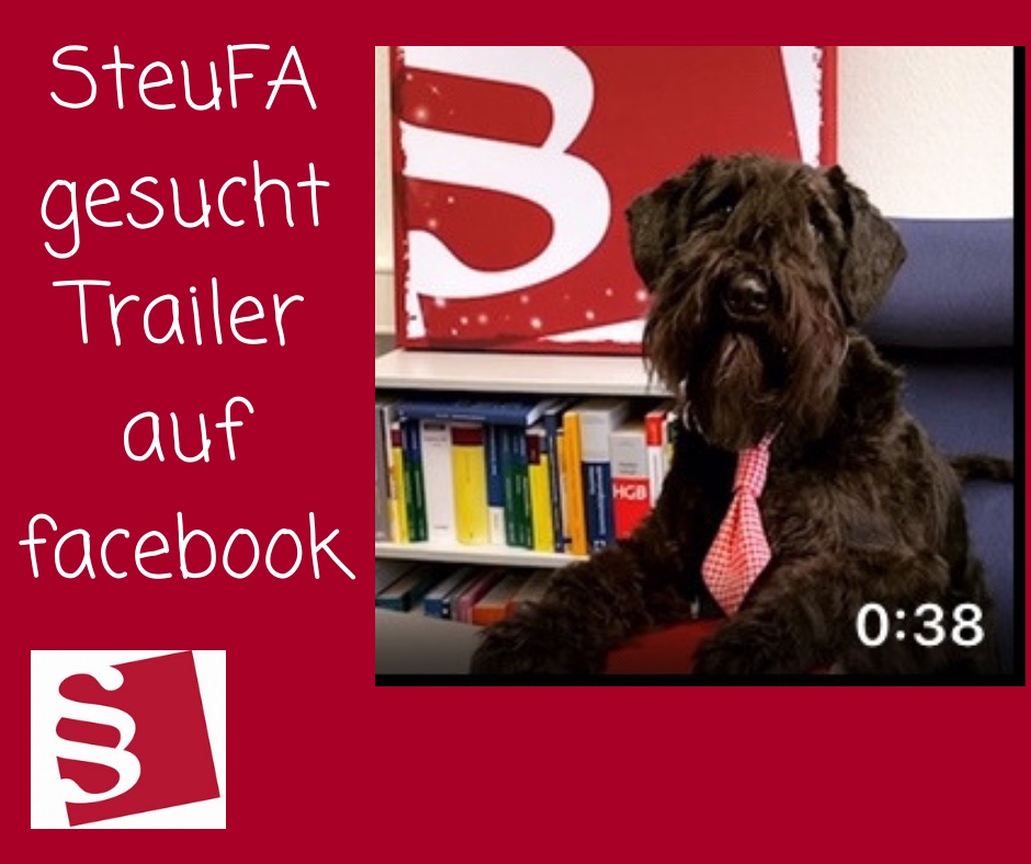 SteuFa gesucht - Facebook-Film