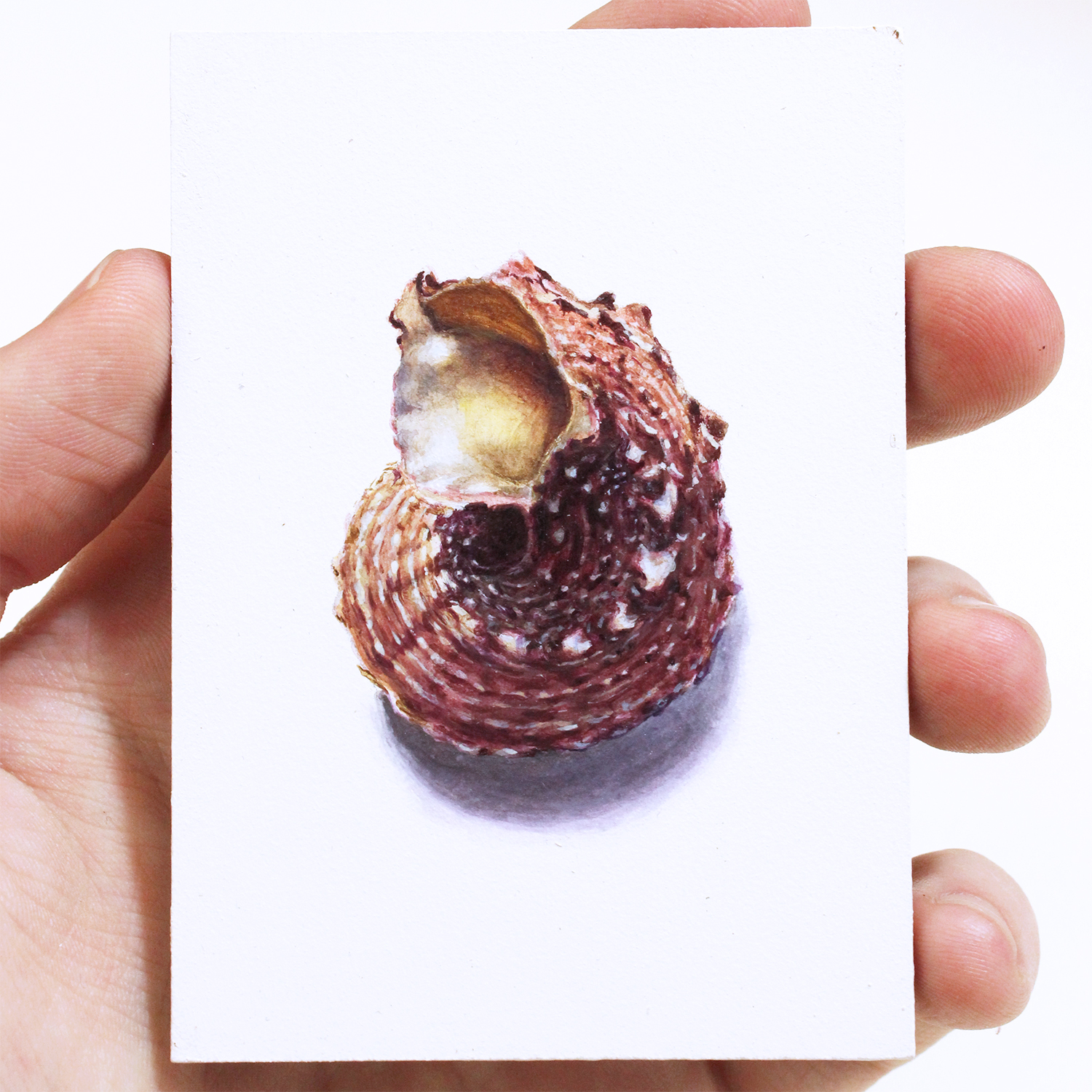 "Angaria Delphinus"  Acrylic on Panel, 3,5x2,5in, 2019