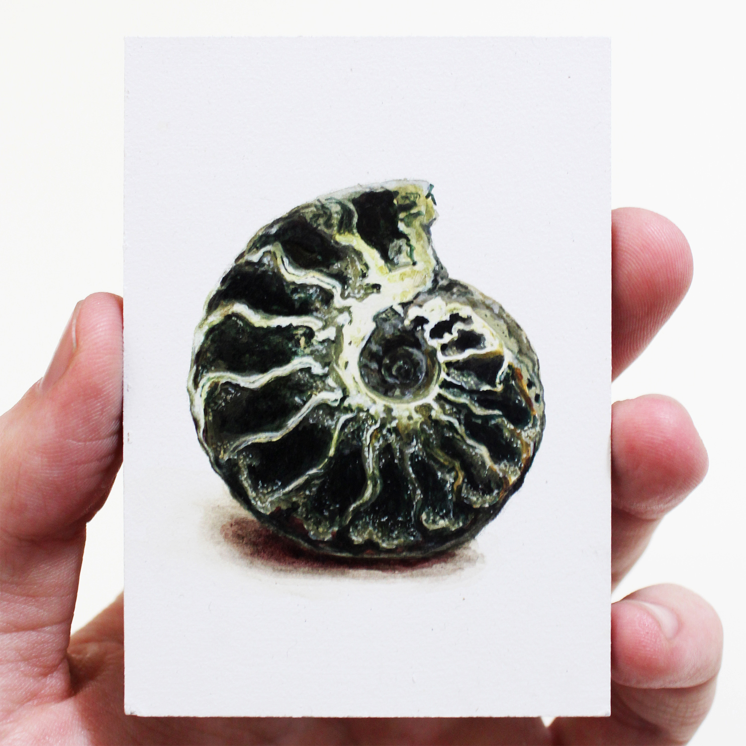 "Pyritized Ammonite"  Acrylic on Panel, 3,5x2,5in, 2018