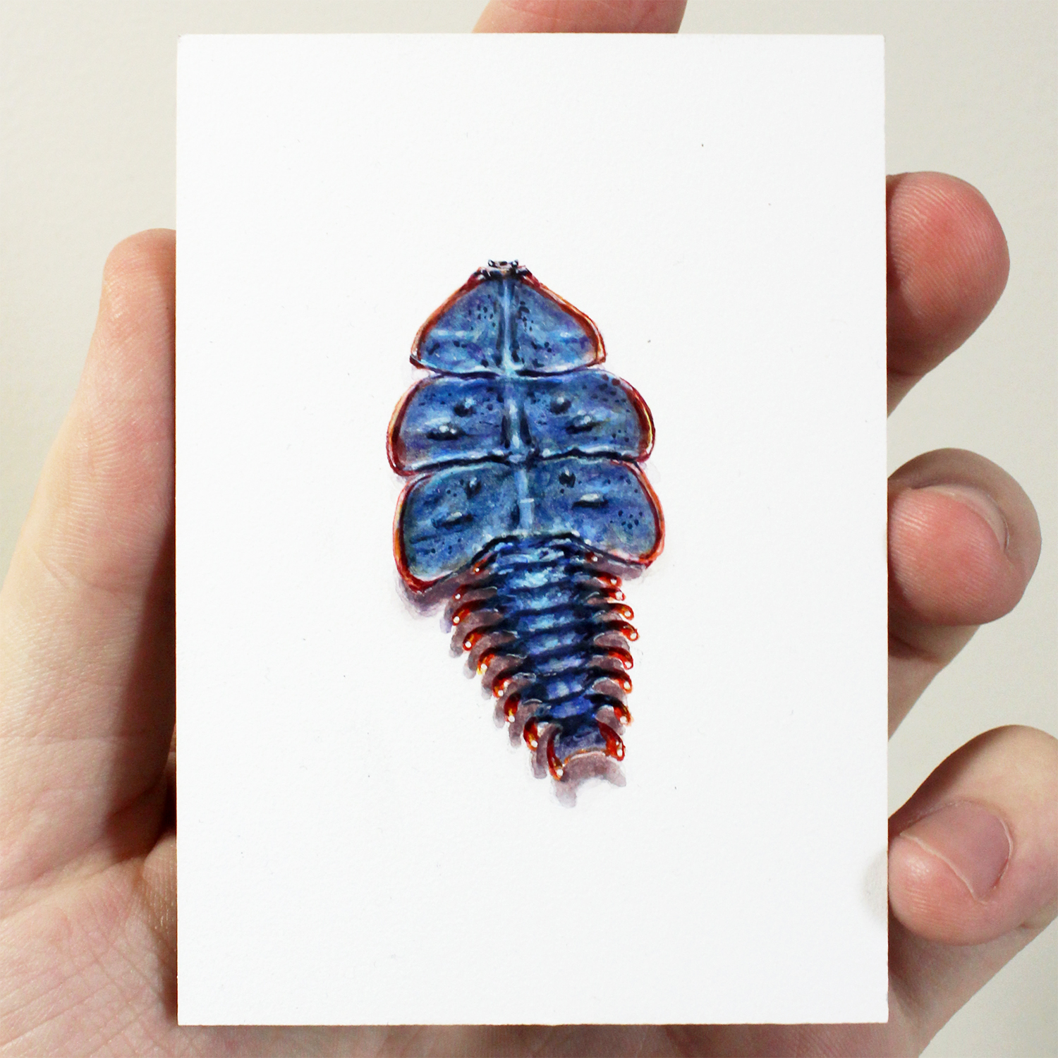 "Platerodrilus Beetle"  Acrylic on Panel, 3,5x2,5in, 2019