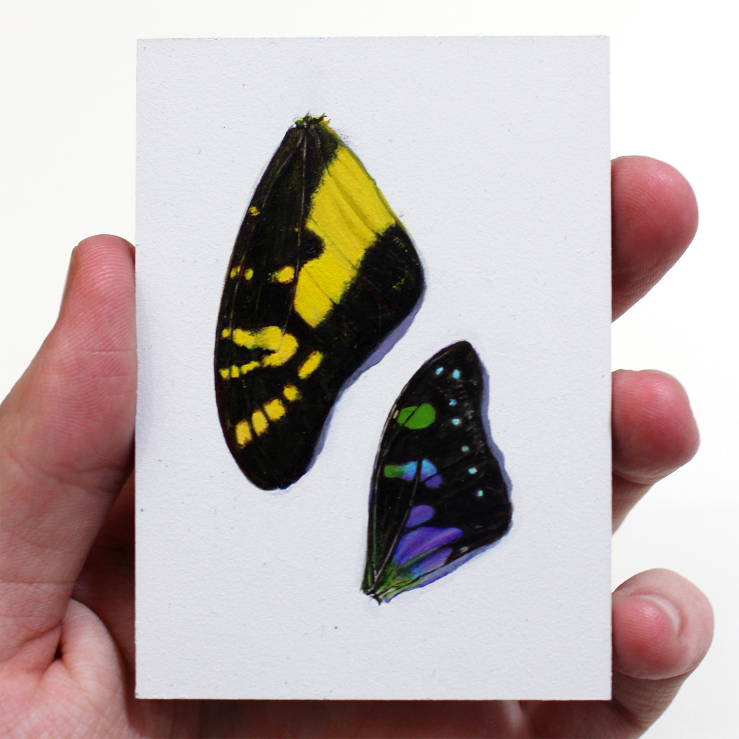 "Graphikum Weiskei et al."  Acrylic on Panel, 3,5x2,5in, 2018