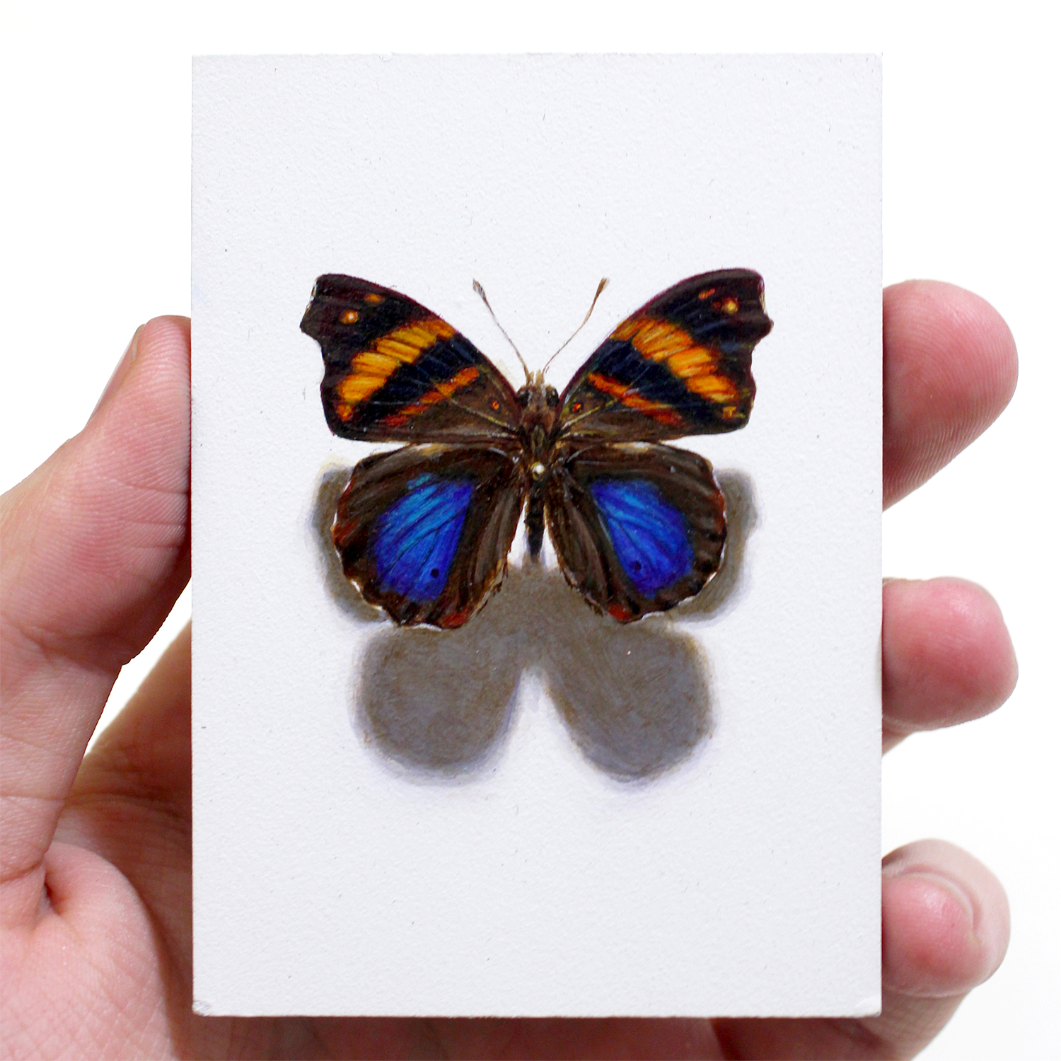 "Epiphile Orea"  Acrylic on Panel, 3,5x2,5in, 2018