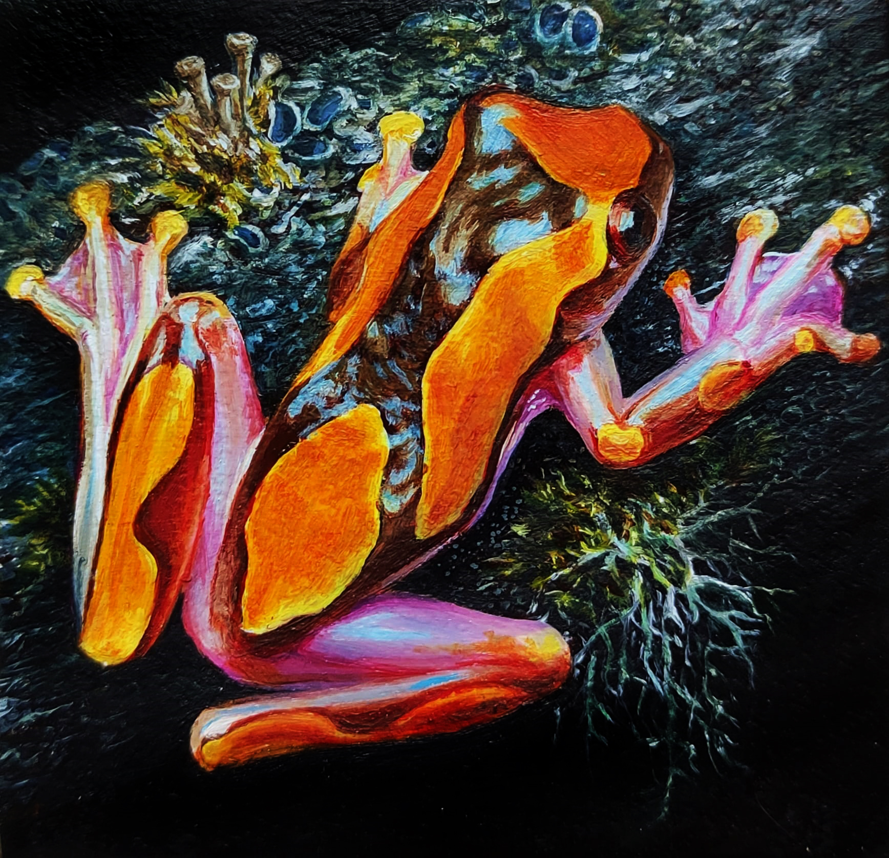 "Clown Tree Frog" Oil on Canvas, 7x7cm 2023