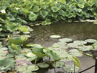 梅雨前に知っておきたい【体の湿気】を追い出すセルフケア習慣
