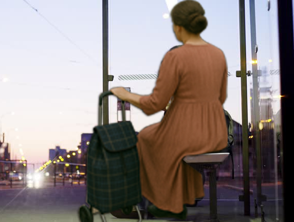 La dama del carrito. Relato de Eladia Tristán