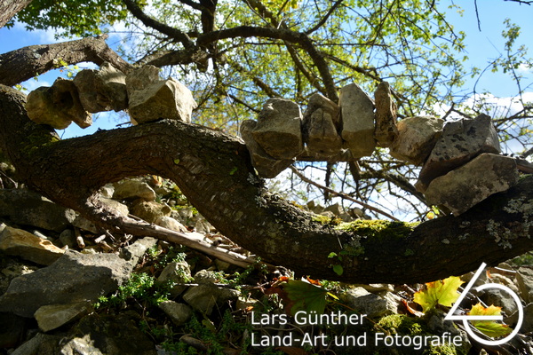 Kalksteine auf Baum - Eichstätt Spindeltal