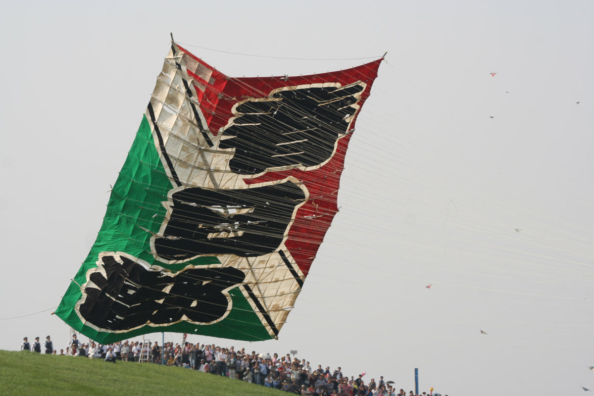  Look up at the sky in the second half of GW! Carp streamers in Kazo & kites in Kasukabe