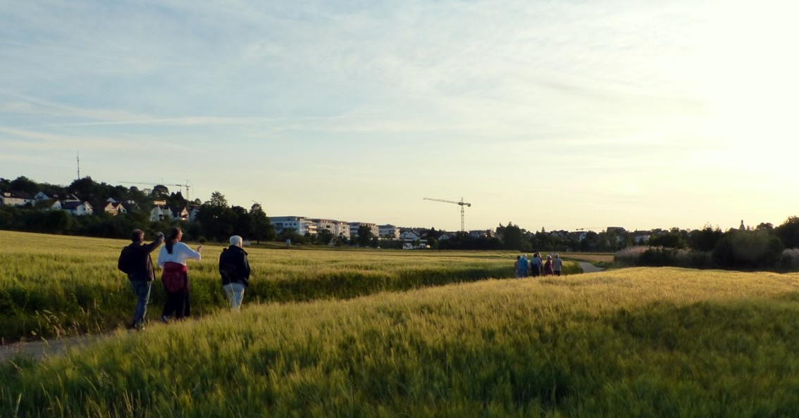 Abendgang ums Höfener Bädle