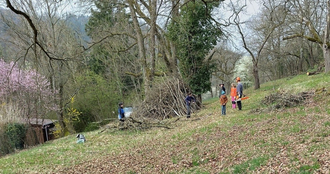 Gehölzpflege am Sonnenberg