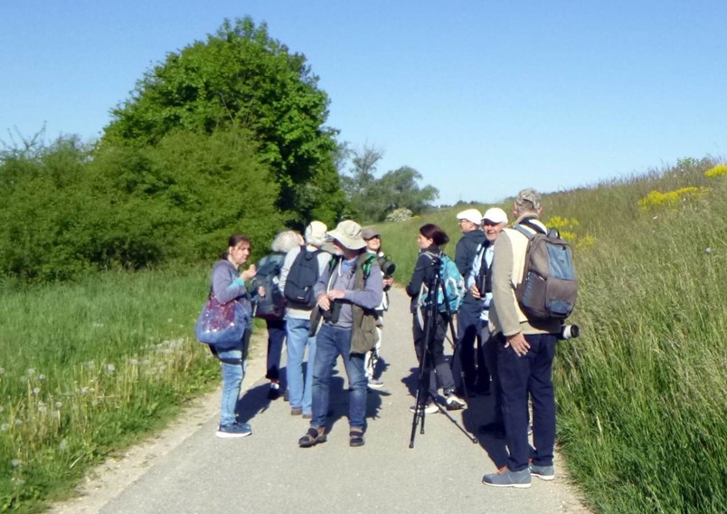 Vogelkundliche Wanderung zum Erbach-Polder