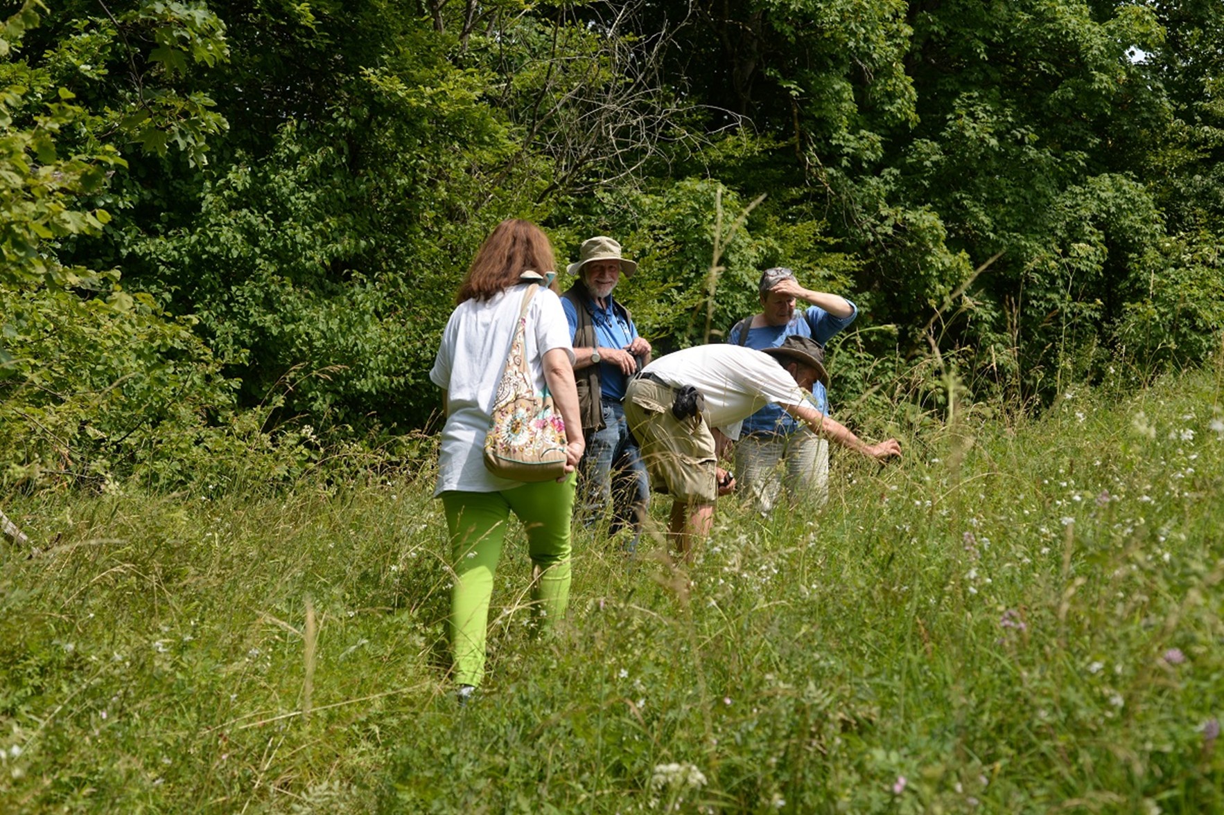 Sommerfest und naturkundliche Führung dorthin