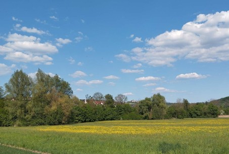 Buchenbachtal