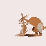 Illustration kangourou