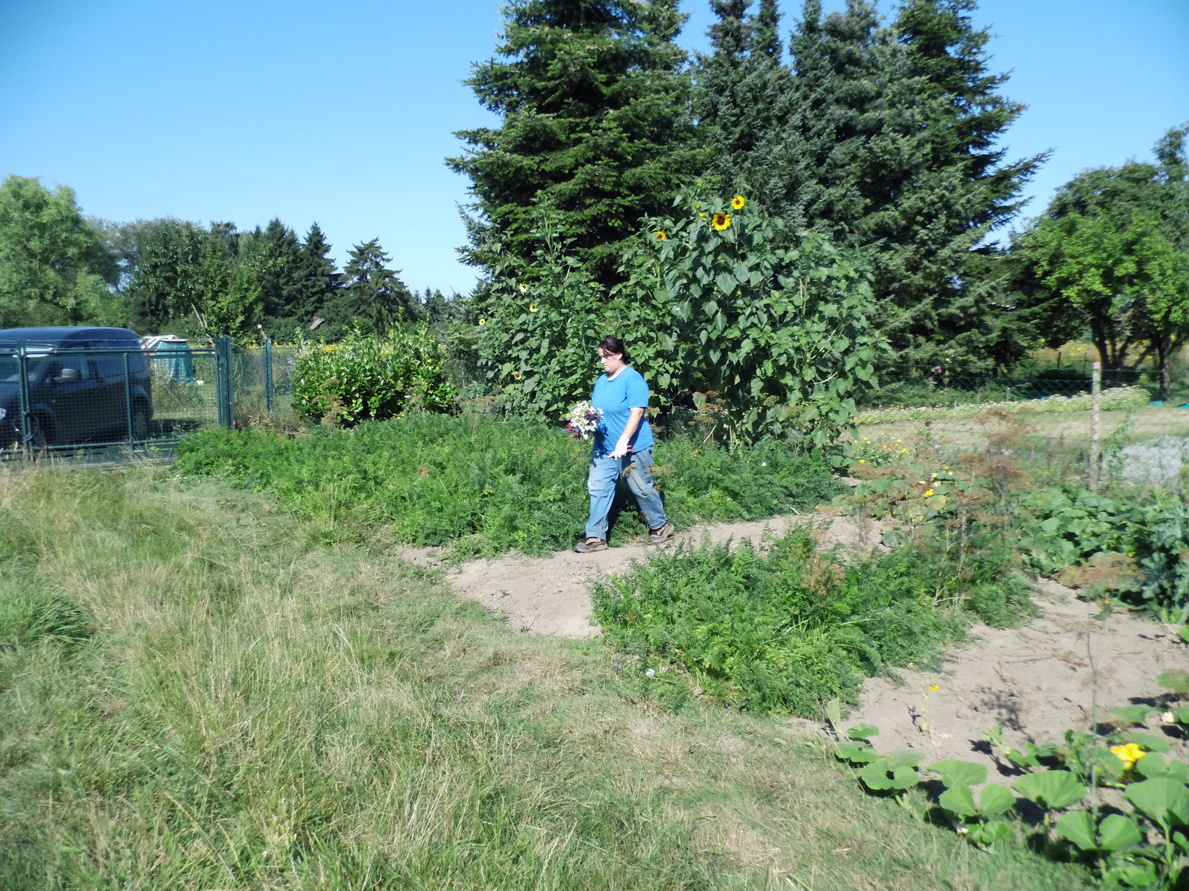 bei der Gartenarbeit