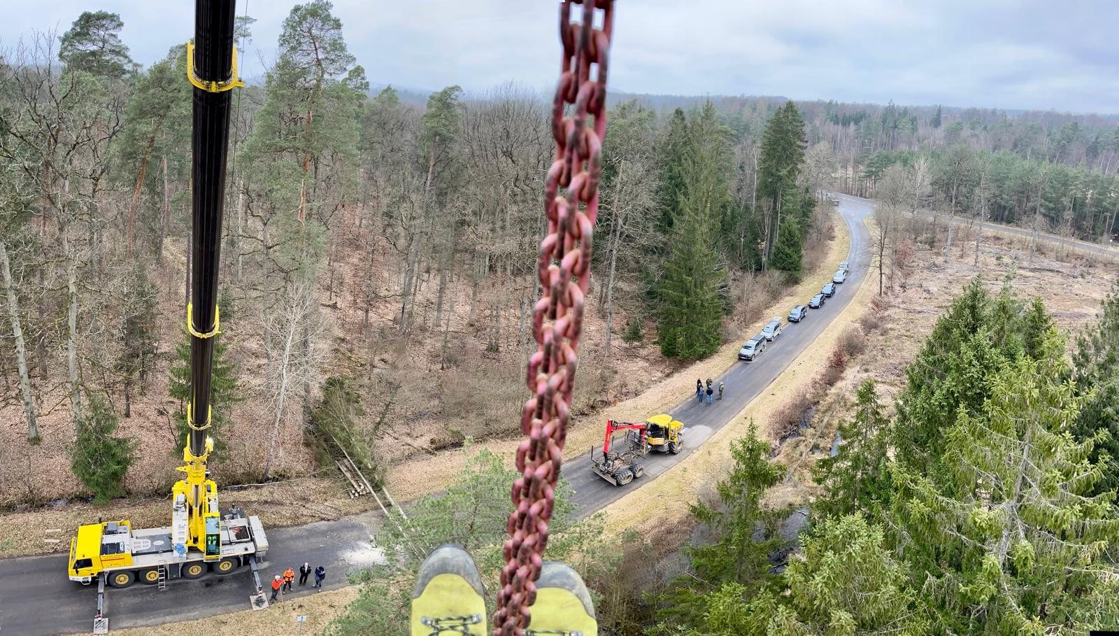 Fällung mit Autokran