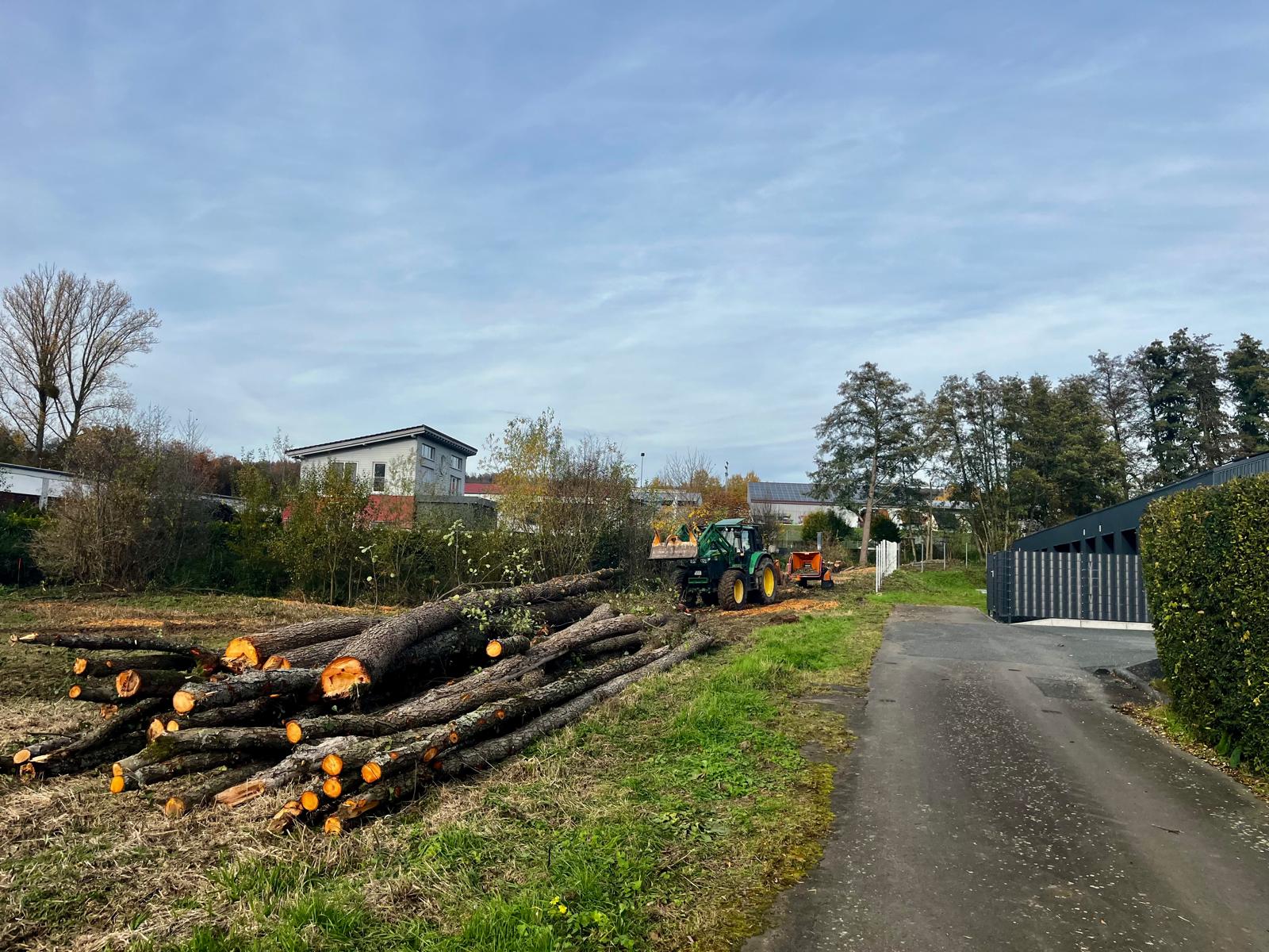 Rodungsarbeiten
