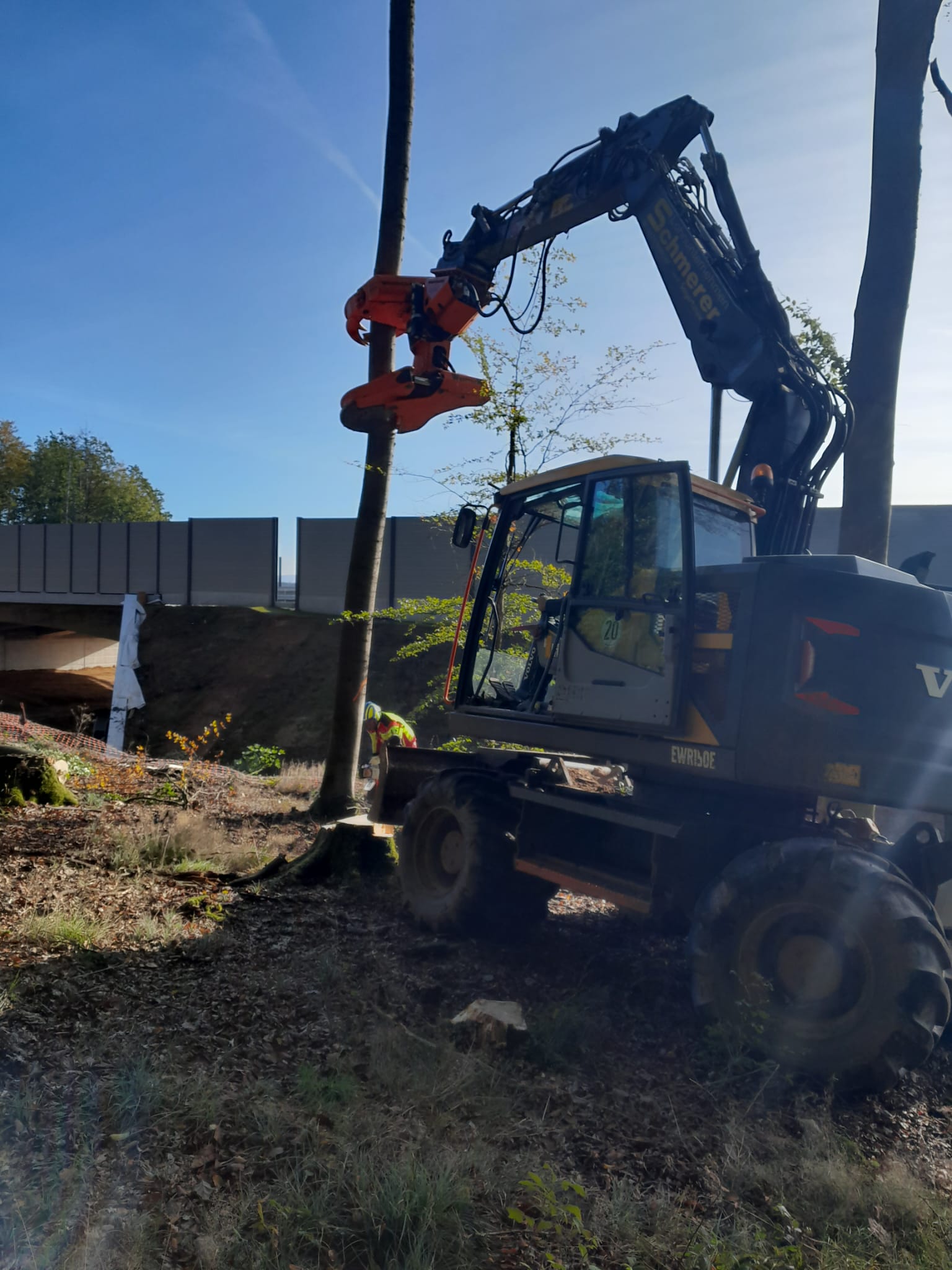 Fällung mit Bagger und Fällgreifer
