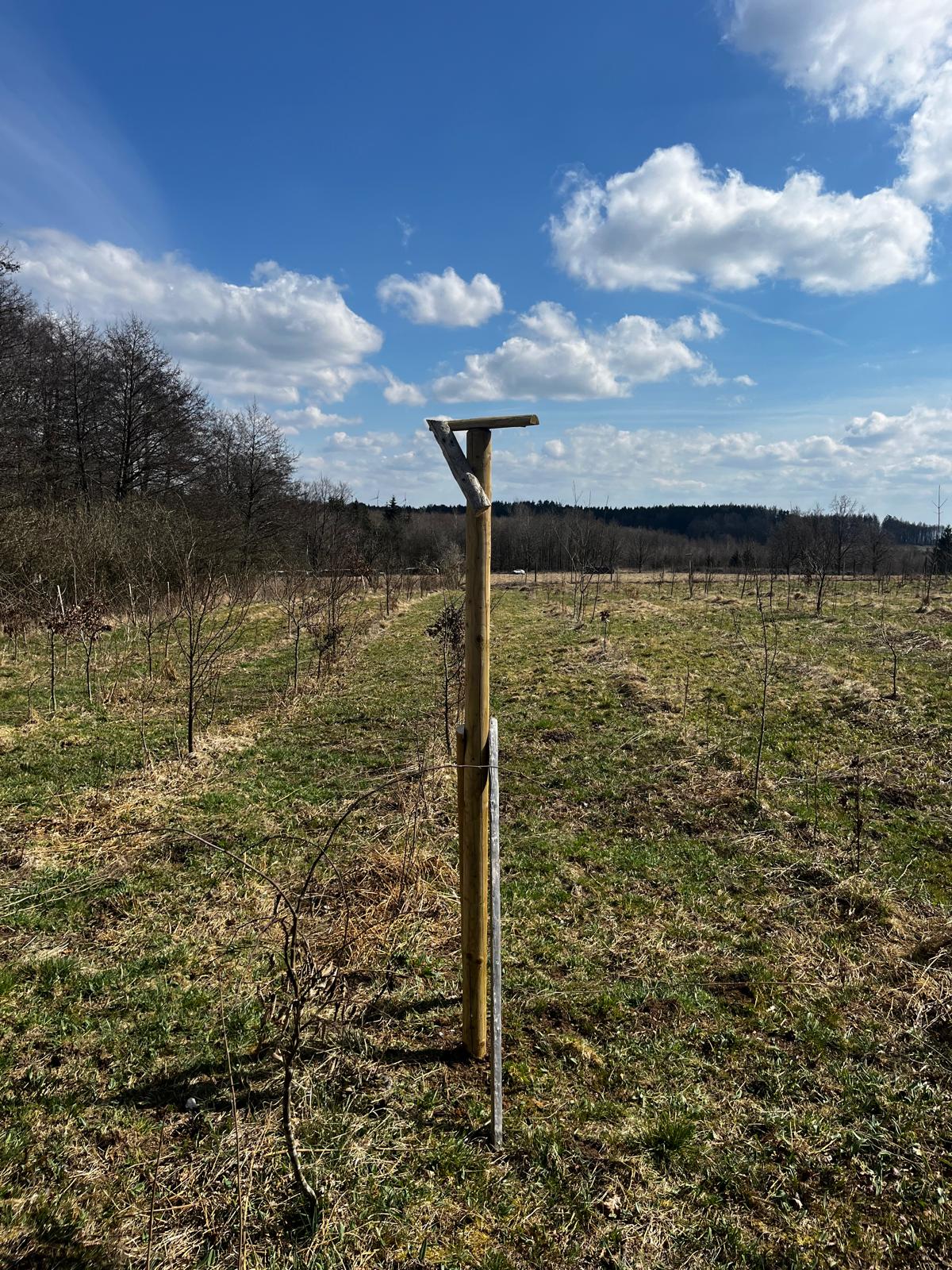 Greifvogelansitzstange