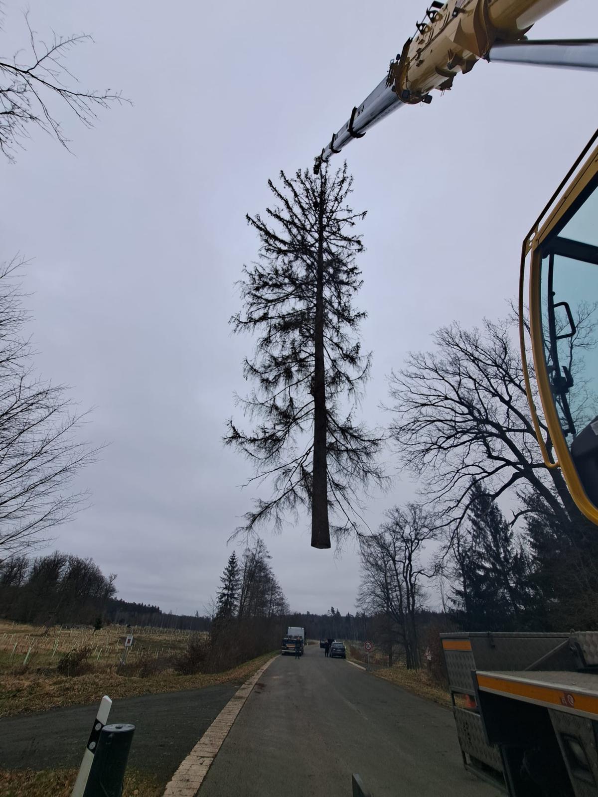 Fällung mit Autokran