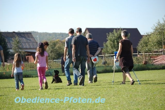 Unterschiedliche Menschen kommen auf einzelnen Welpen zu