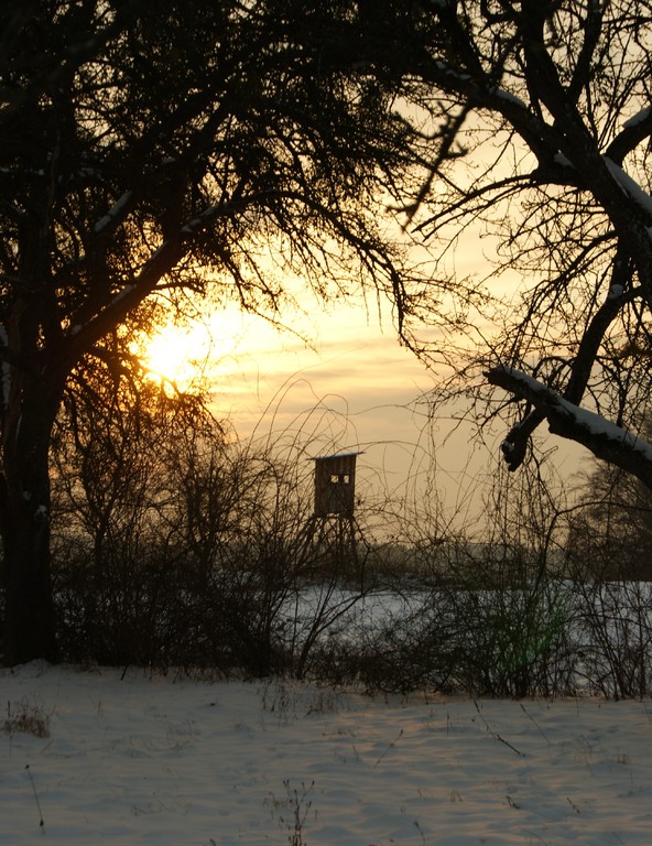 Winteridylle im Revier