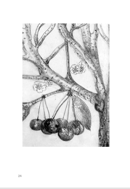 Zeichnung zum Kirschbaum