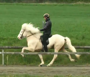 Decktaxe € 900,-