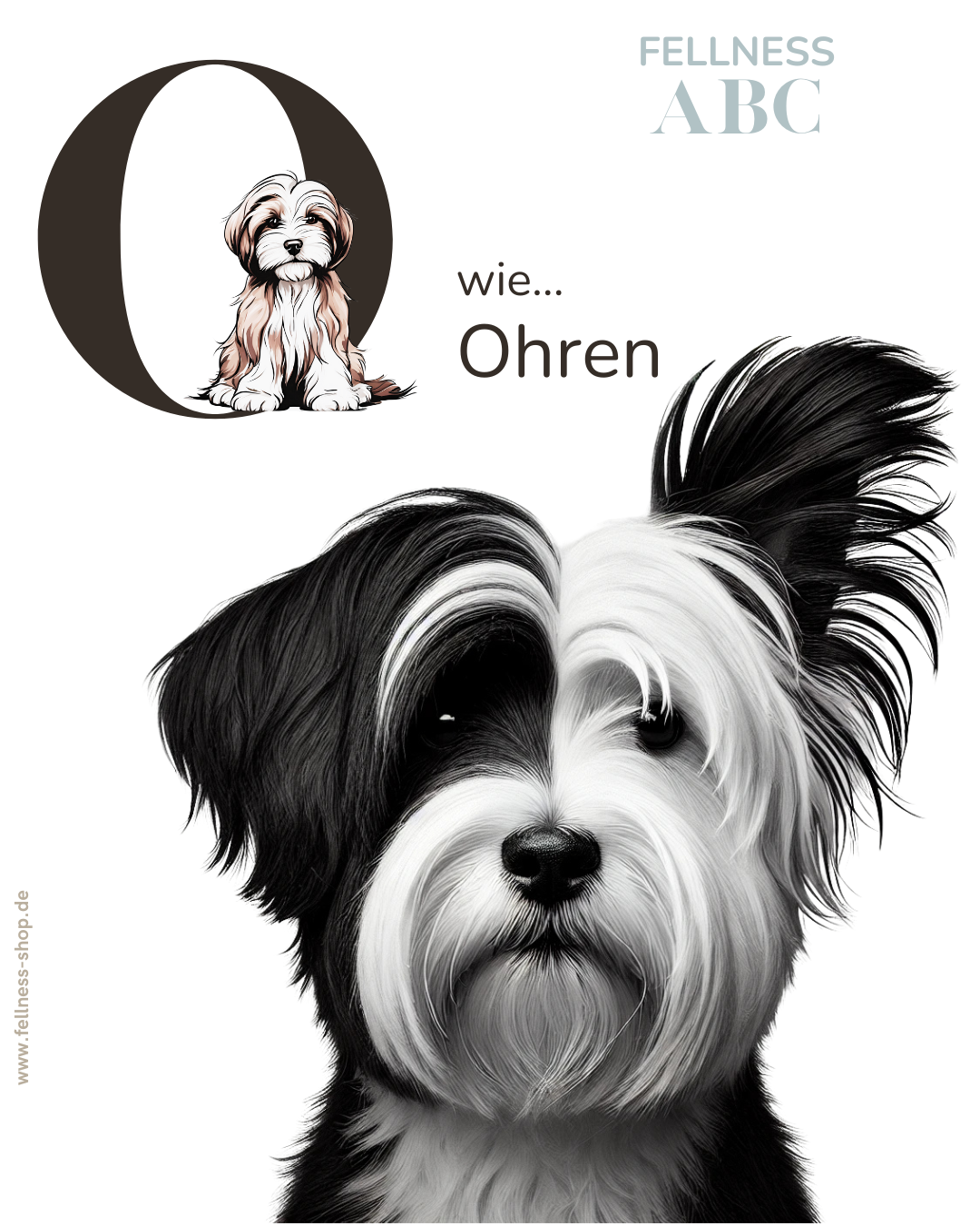 Fellness ABC - O wie Ohren