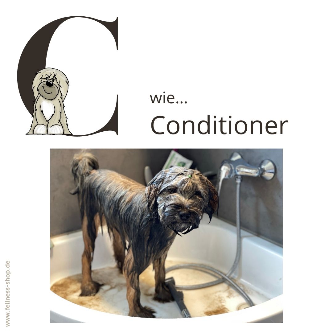 Fellness ABC - C wie Conditioner