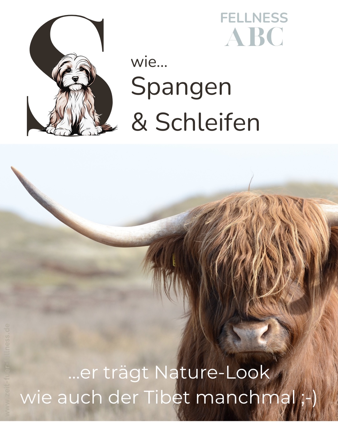 Fellness ABC - S wie Spangen