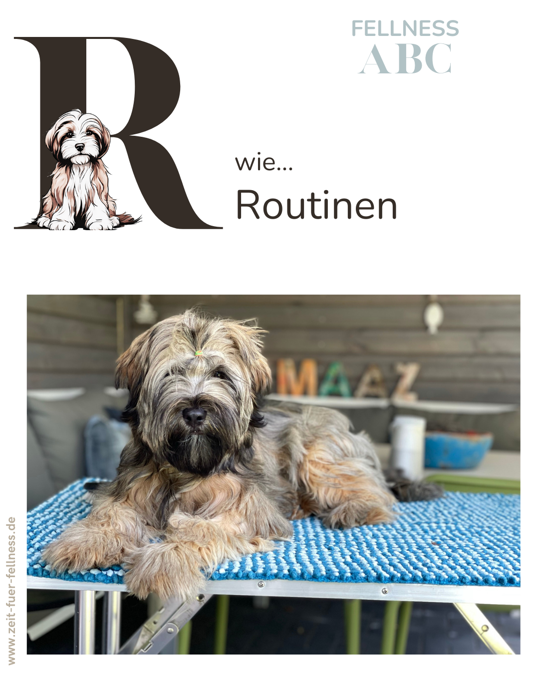 Fellness ABC - R wie Routine