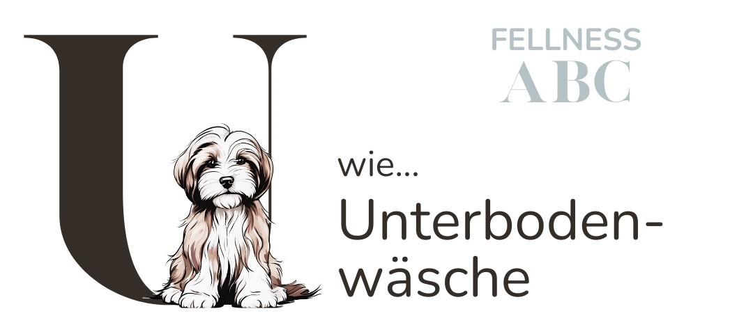 Fellness ABC - U wie Unterbodenwäsche