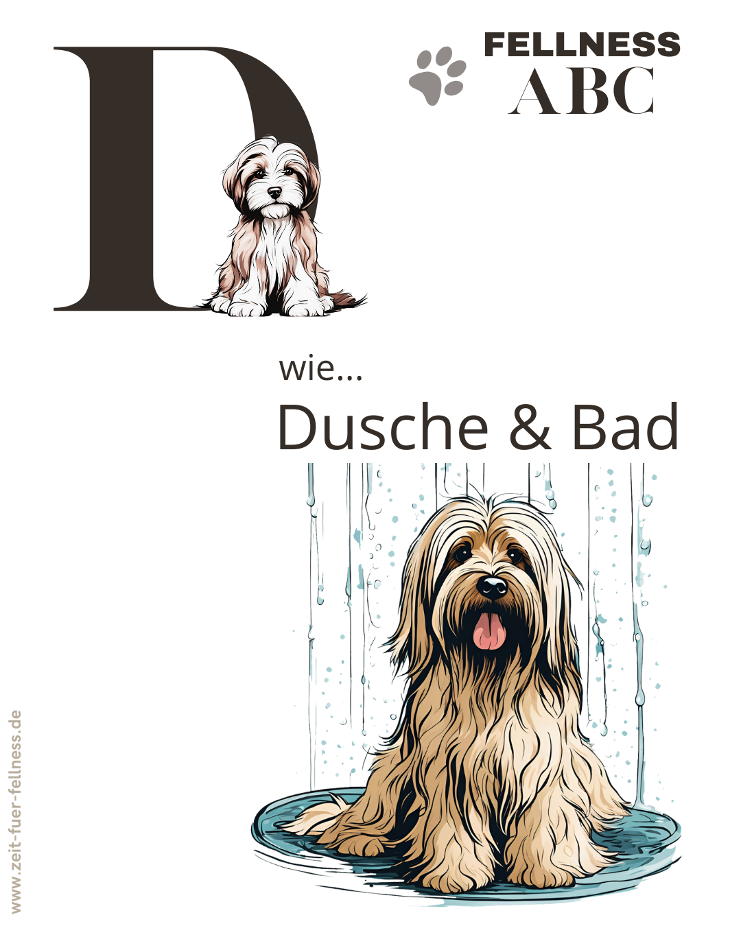 Fellness ABC - D wie Dusche & Bad