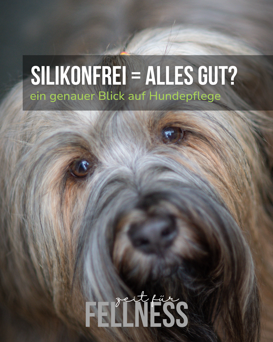 Silikonfrei - is doch super, ODER??