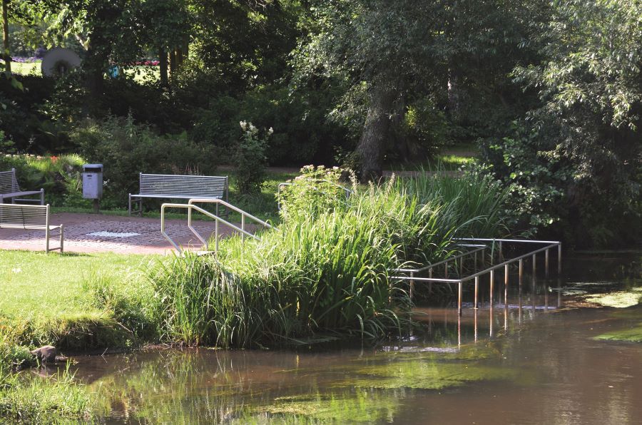 4. Tag Wassertreten am Morgen in der Ilmenau
