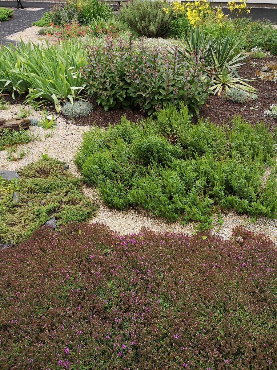 Bibelgarten