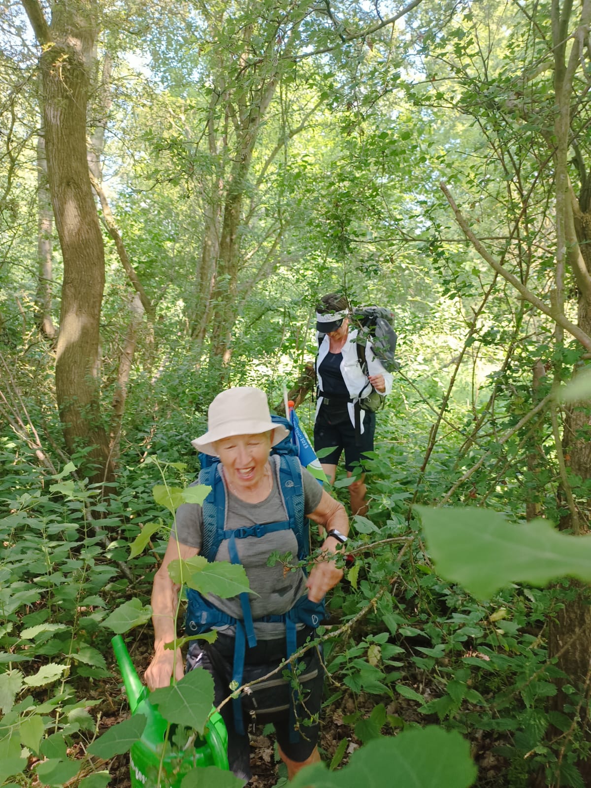 Verwirrung