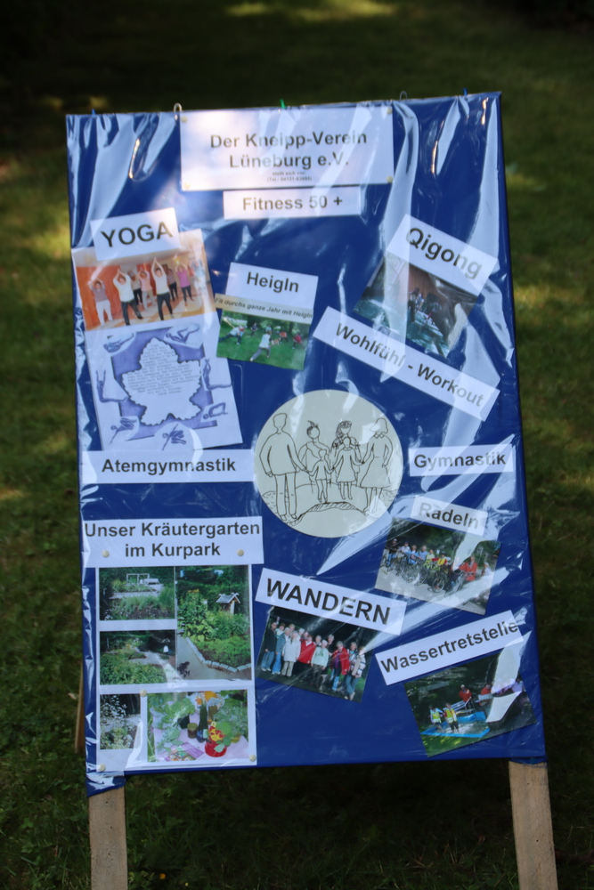 Aktiv-Programm des Vereins