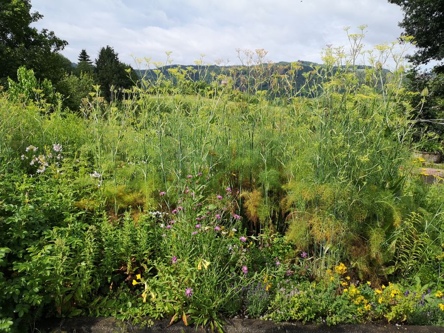 Kräutergarten
