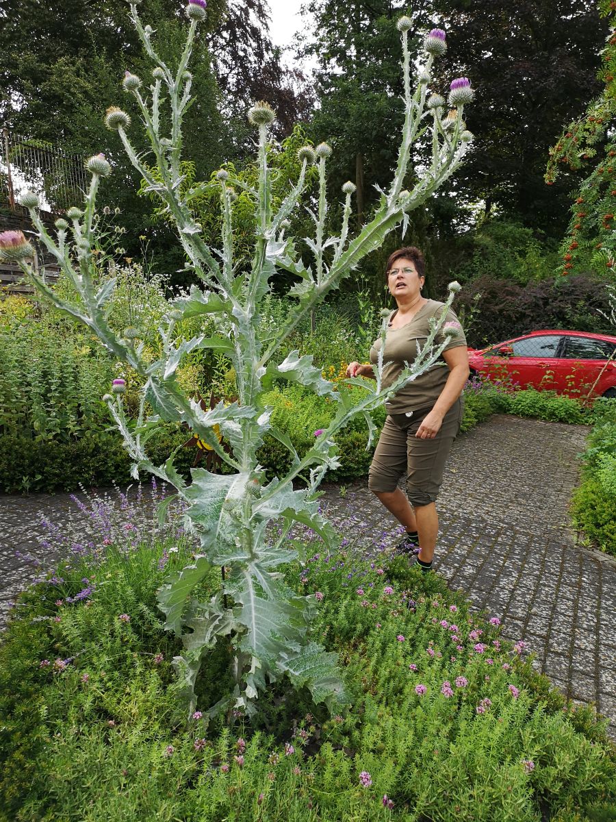 Klostergärtnerin Kordula Honnef