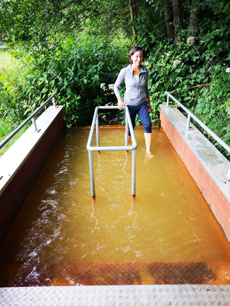 Wassertreten in  Waldbreitbach