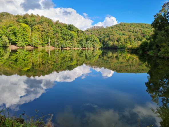 und noch eine Runde um den Wiesenbecker Teich 