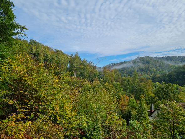  nach Bad Lauterberg