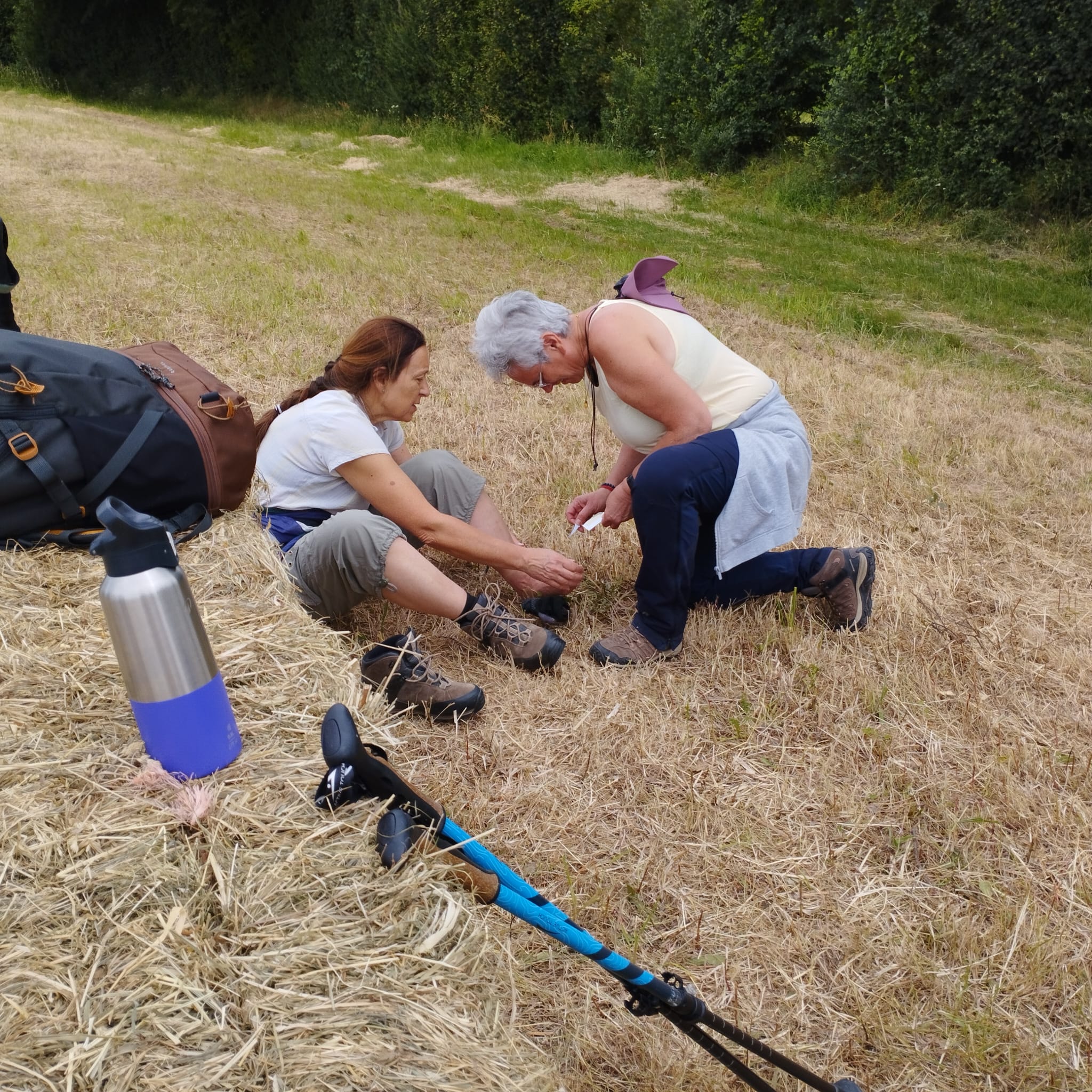 L'infirmerie ambulante