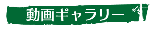 動画ギャラリー｜ウッドタワー研究会